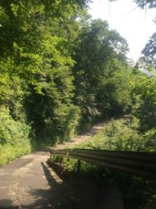 貝掛温泉　林道